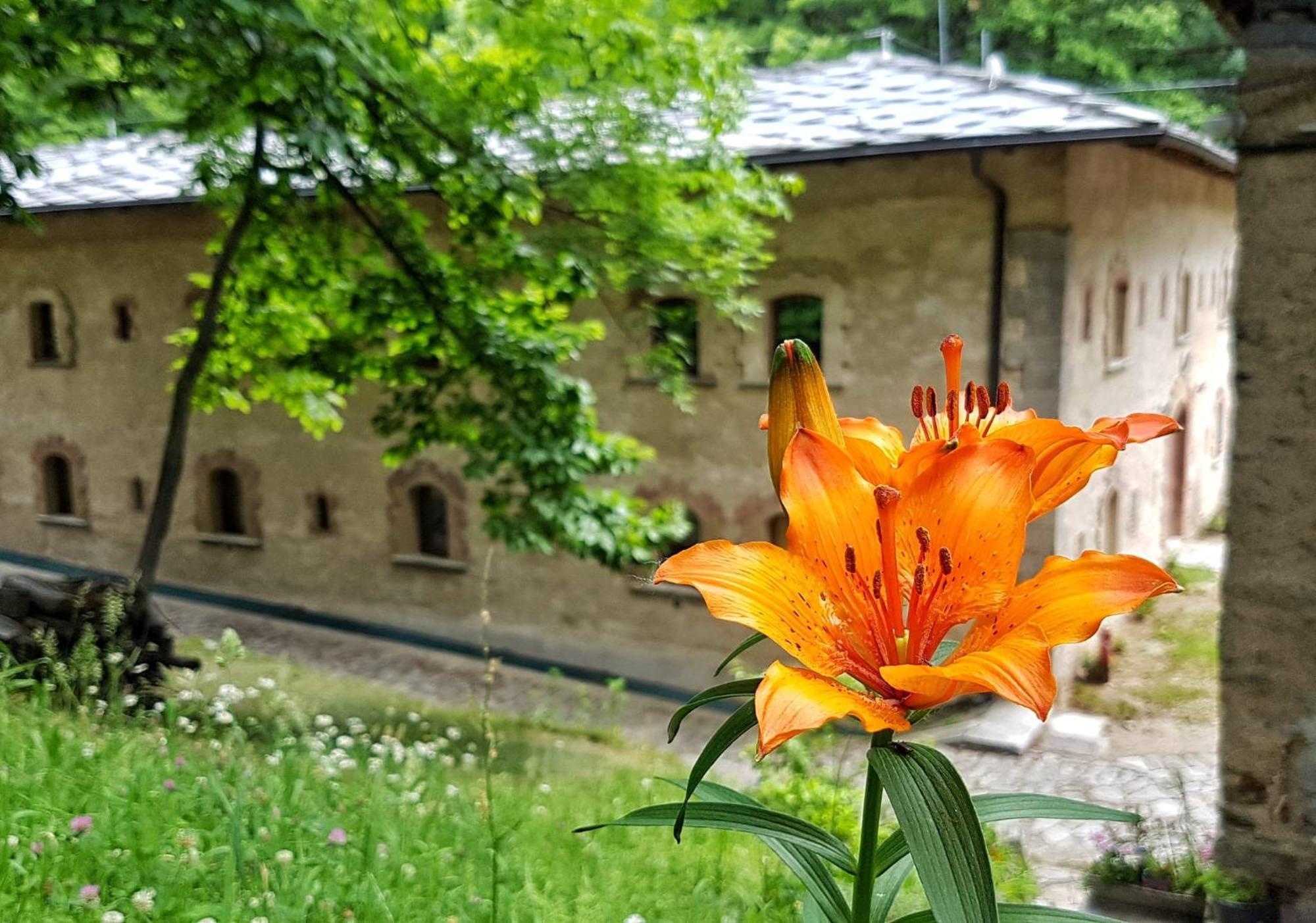Forte Di Machaby Arnad